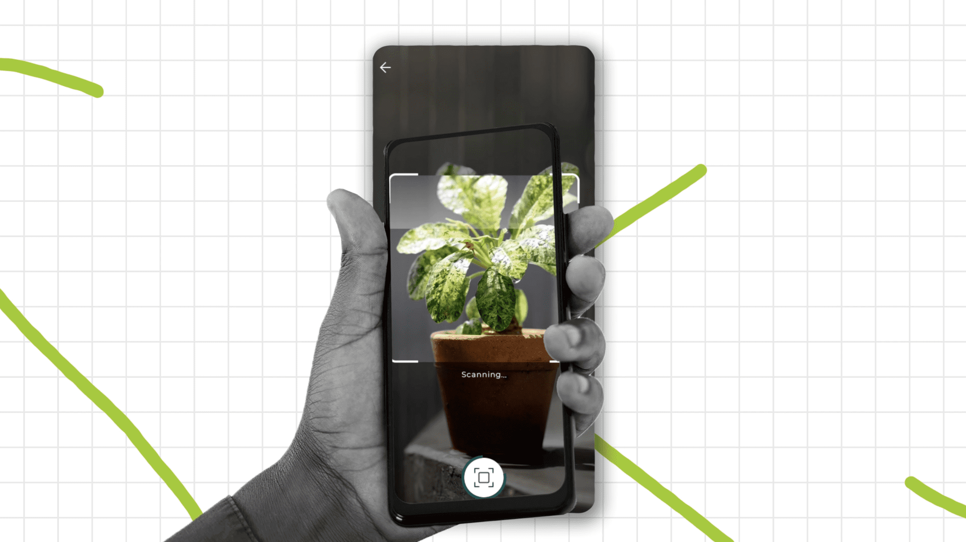 Buddy SaaS Tech Animation